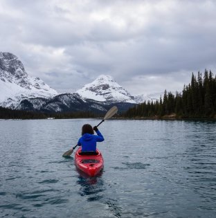 About Ticket Wicket Travel